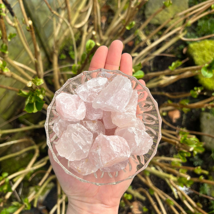 Hand holding a clear glass dish with rose quartz crystals against a natural background