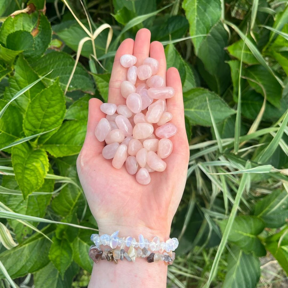 A hand holding small pale pink Mini Rose Quartz Tumble Stones, photographed outdoors against a background of green leaves and grass. The hand also wears two beaded bracelets.