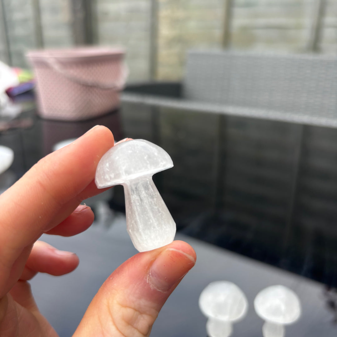 Mini Selenite Mushrooms
