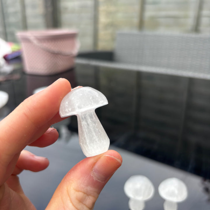 Mini Selenite Mushrooms