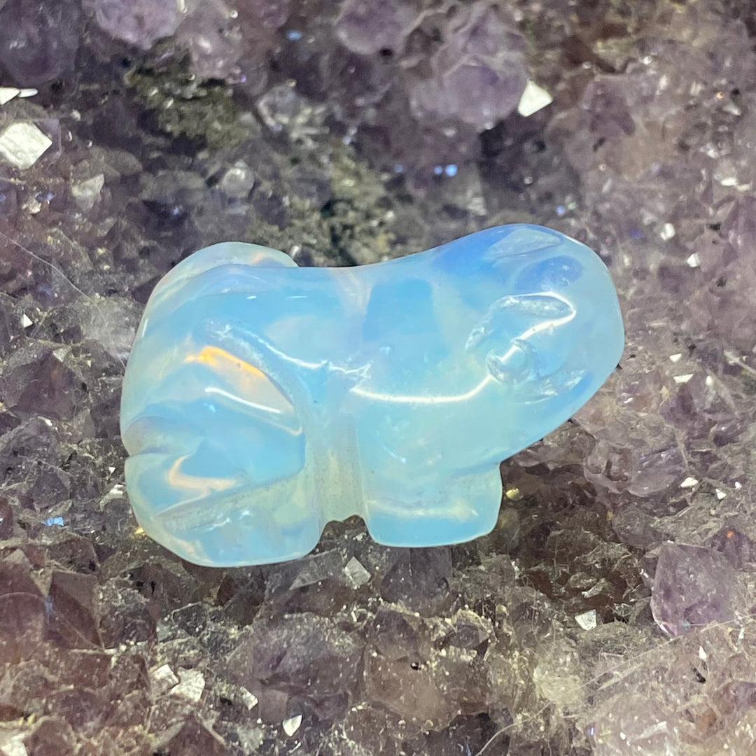 A small carved light blue opal gemstone figurine shaped like a frog, displayed on a purple crystal cluster.