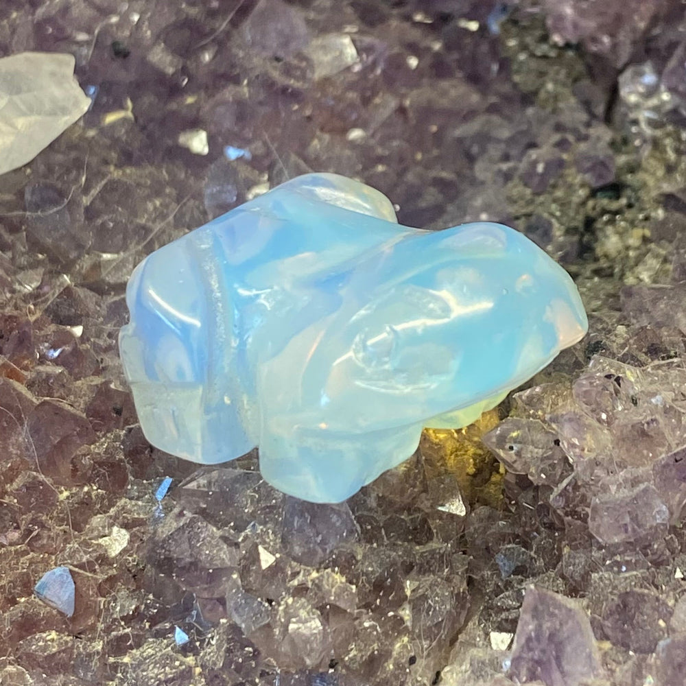 A small carved light blue opal frog figurine resting on a bed of purple amethyst geode crystals.