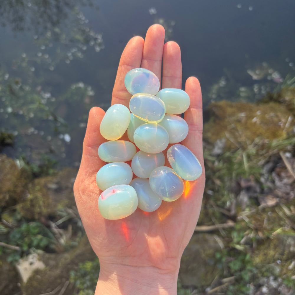 A hand holding a cluster of smooth, polished iridescent opal stones against an outdoor blurred background.