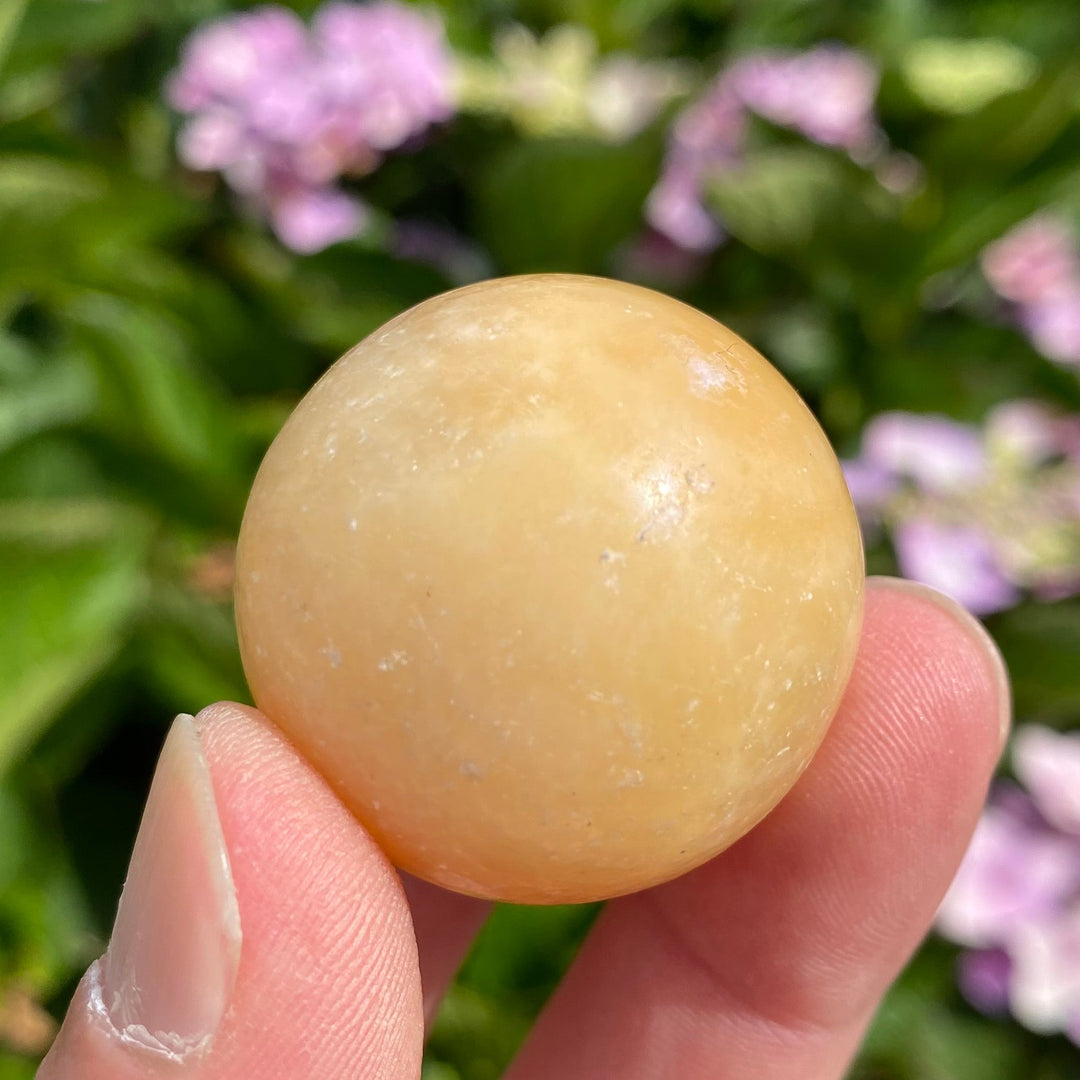 A person's hand holding a smooth, polished round Orange Calcite Sphere with a warm golden-yellow hue, set against a blurred background of green leaves and pink flowers.