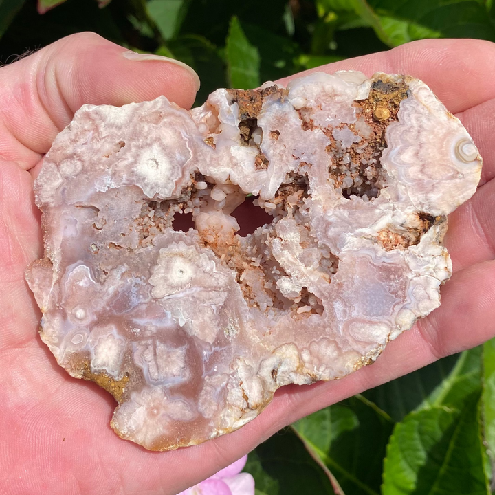 A hand holding a Pink Amethyst Slab with layered translucent bands of white, beige, and brown, set against a background of green leaves and pink flowers.
