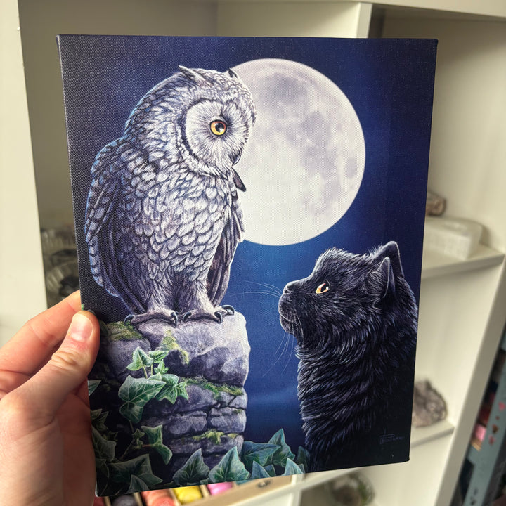 Purrfect Wisdom Canvas by Lisa Parker