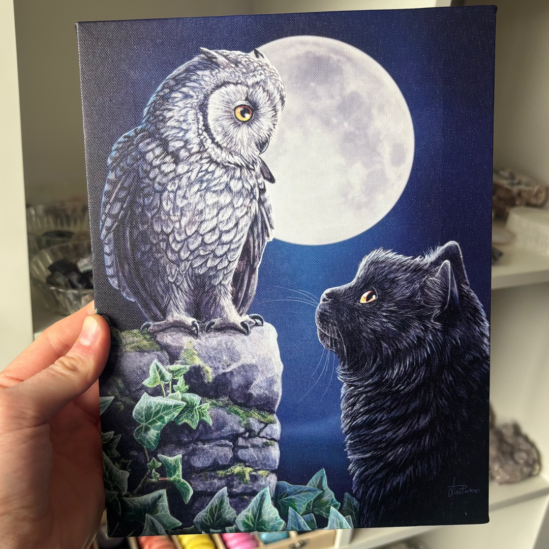 Lisa Parker Canvas with an owl and cat illustration against a moonlit sky