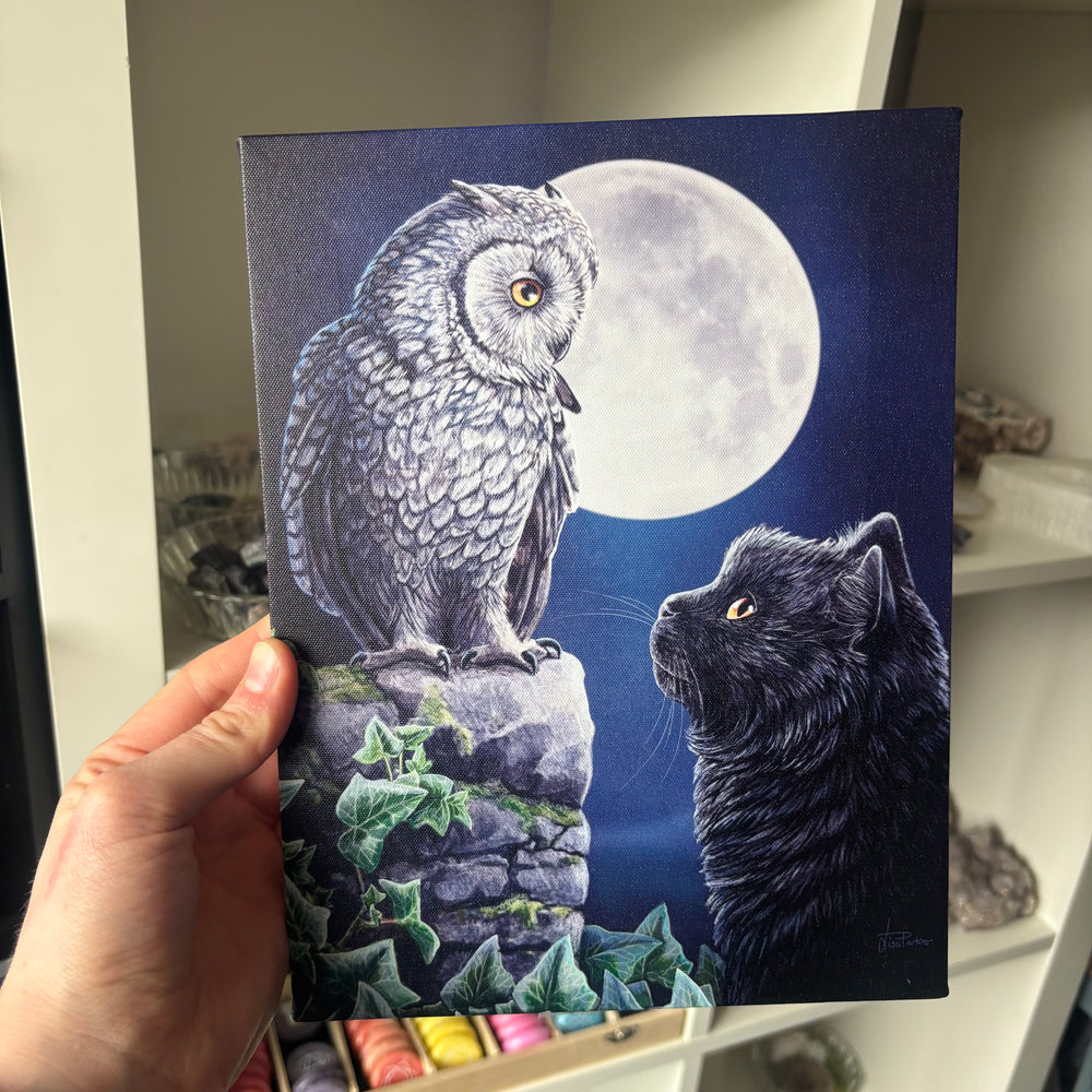 A hand holds a square Lisa Parker canvas painting featuring a gray owl perched on a rock beside a black cat under a large full moon in a dark blue night sky. The background shows shelves and household items in a real indoor setting.