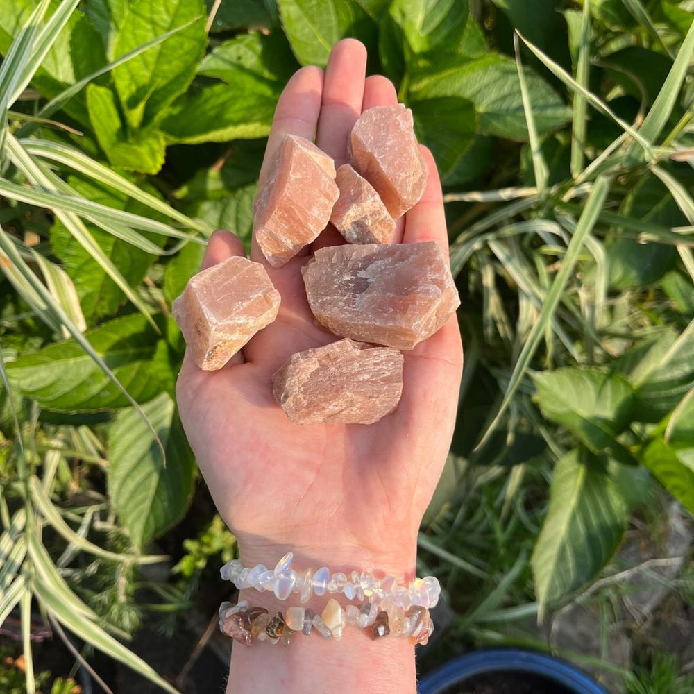 A hand holding six rough, unpolished Raw Sunstone Crystals chunks outdoors with green leaves and grass in the background.