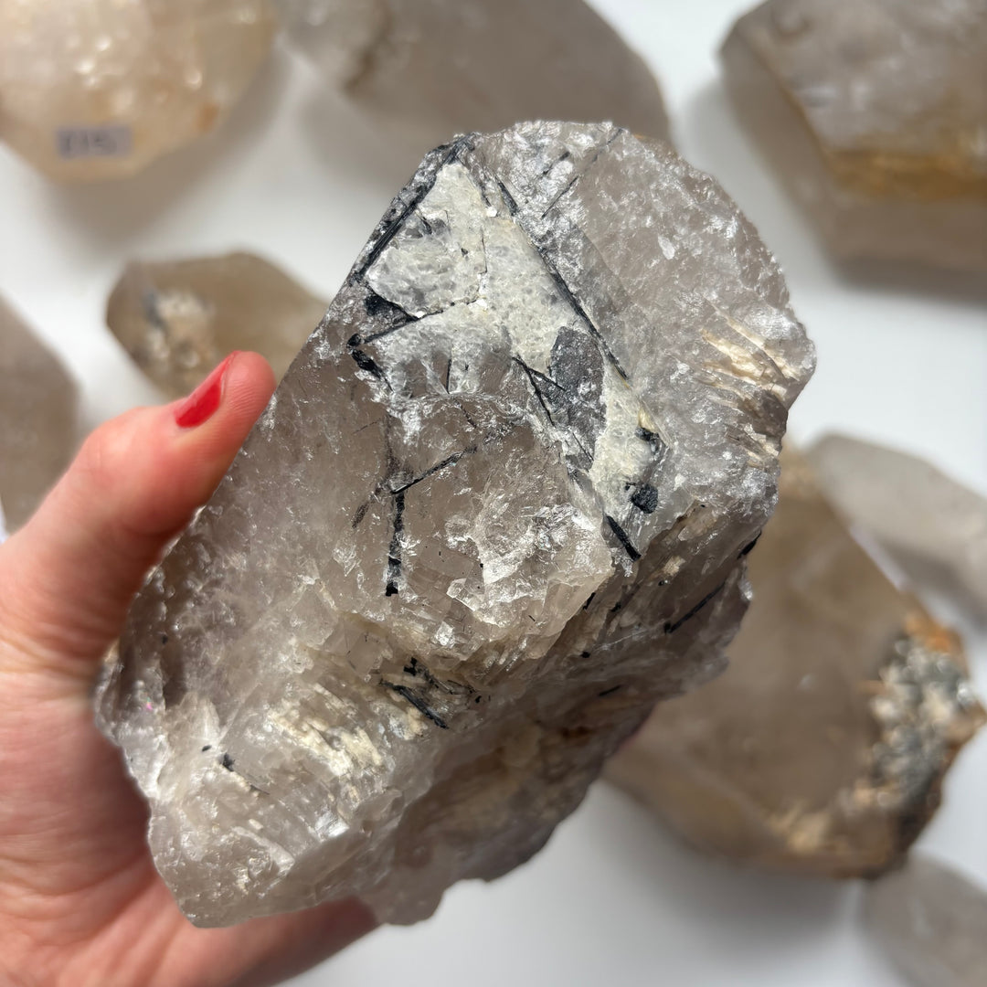 Raw Tourmaline in Quartz Piece 780 Grams
