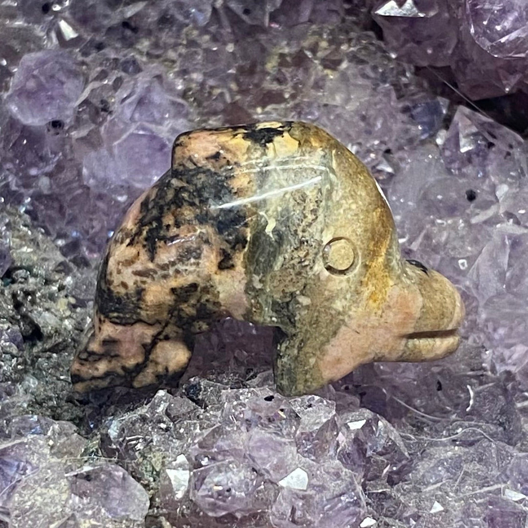A small carved Rhodonite Dolphin crystal dolphin placed on a bed of purple crystal points.