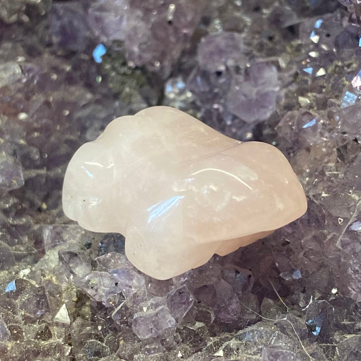 A small Rose Quartz Frog Carving, resting on a bed of purple crystal points.