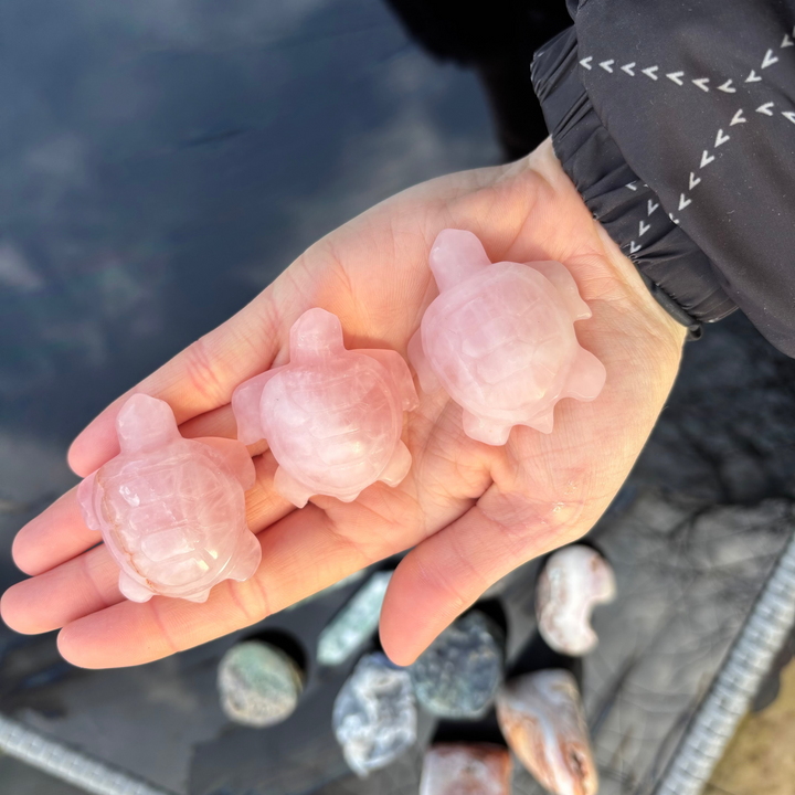Hand holding three small pink Rose Quartz Turtle Crystal Carvings with more stones in the background.