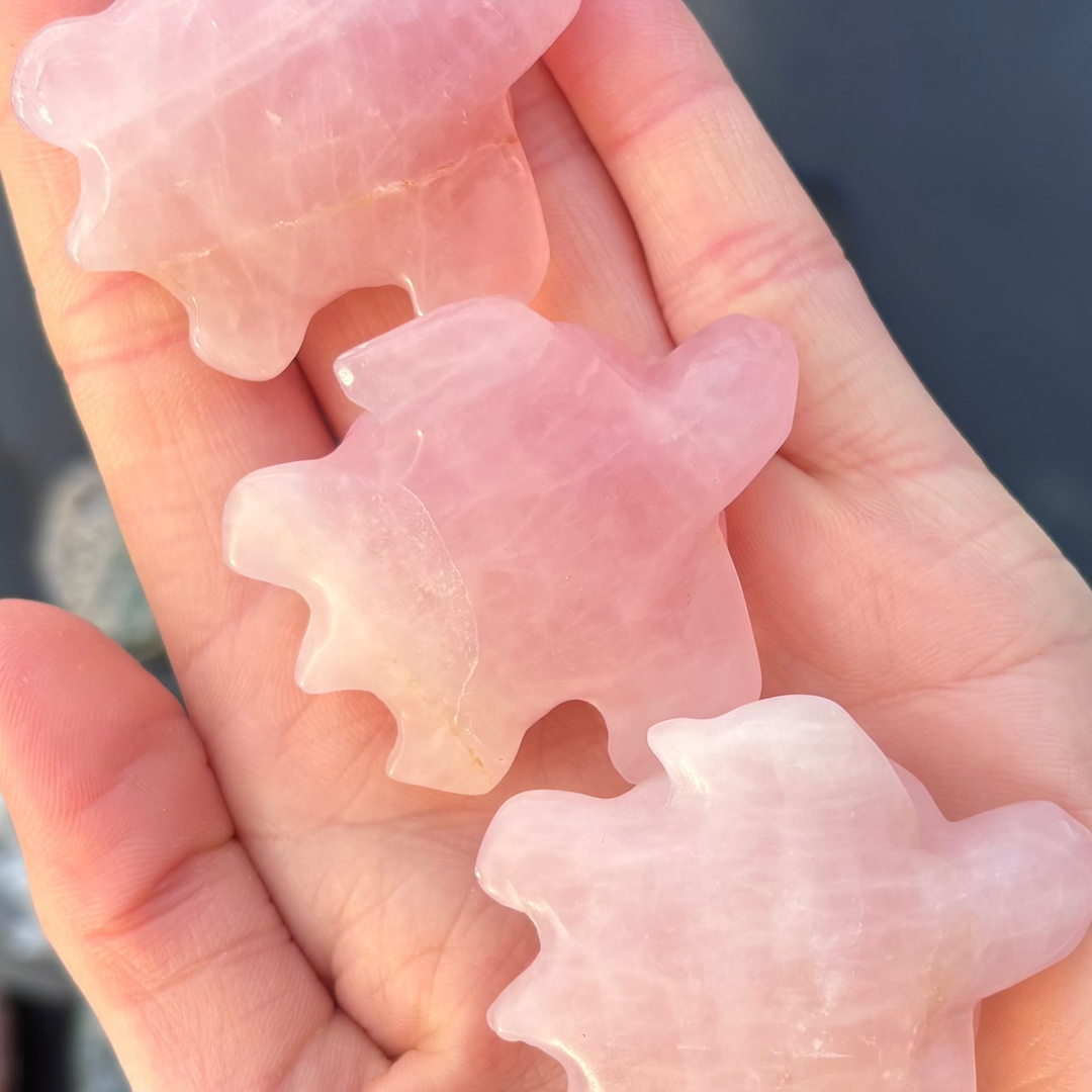 Hand holding three Rose Quartz Turtle Crystal Carvings against a blurred outdoor background
