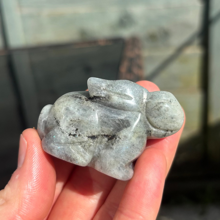 Sitting Down Labradorite Rabbit Carving | Magic &amp; Renewal