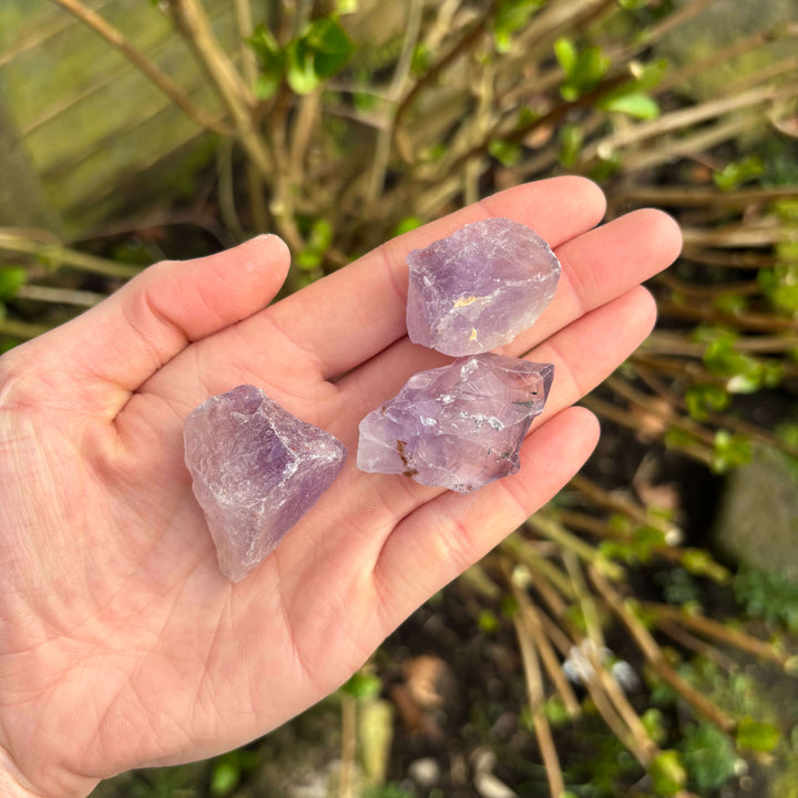A hand holding three individual small, rough Amethyst crystal specimens, highlighting their natural geological size variations, frosty texture, and pale lavender colour tones under daylight.