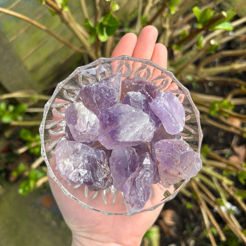 Hand holding a glass bowl filled with purple crystals against a natural background