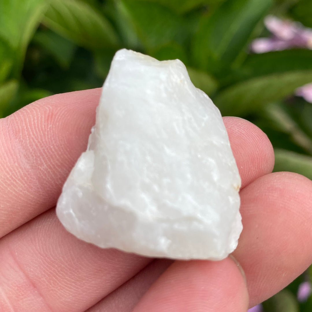 A rough, unpolished white stone or crystal held in a person's hand, with a blurred background of green leaves and small purple flowers.