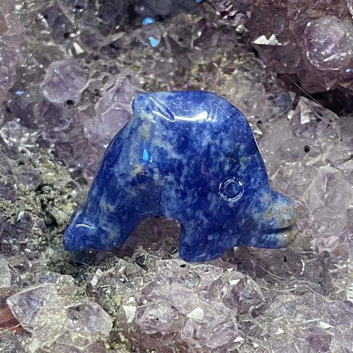 A polished blue Sodalite Dolphin Carving placed on a bed of translucent purple crystal clusters.