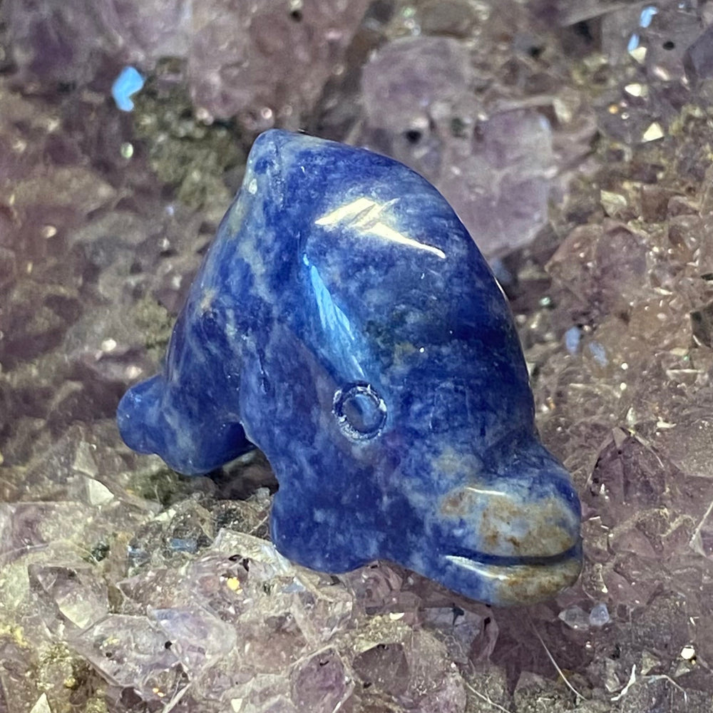 A small polished Sodalite Dolphin Carving placed on a bed of translucent purple and clear crystal clusters.