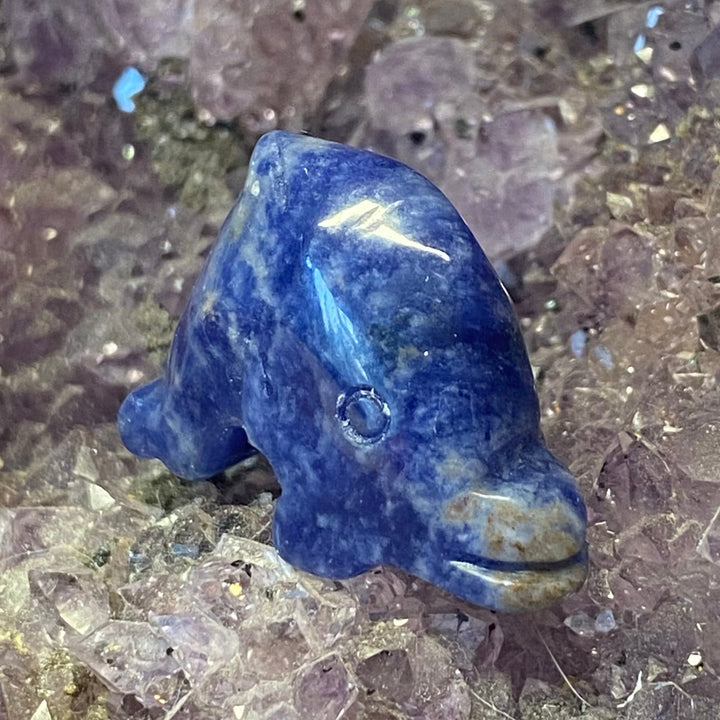 A small polished Sodalite Dolphin Carving placed on a bed of translucent purple and clear crystal clusters.