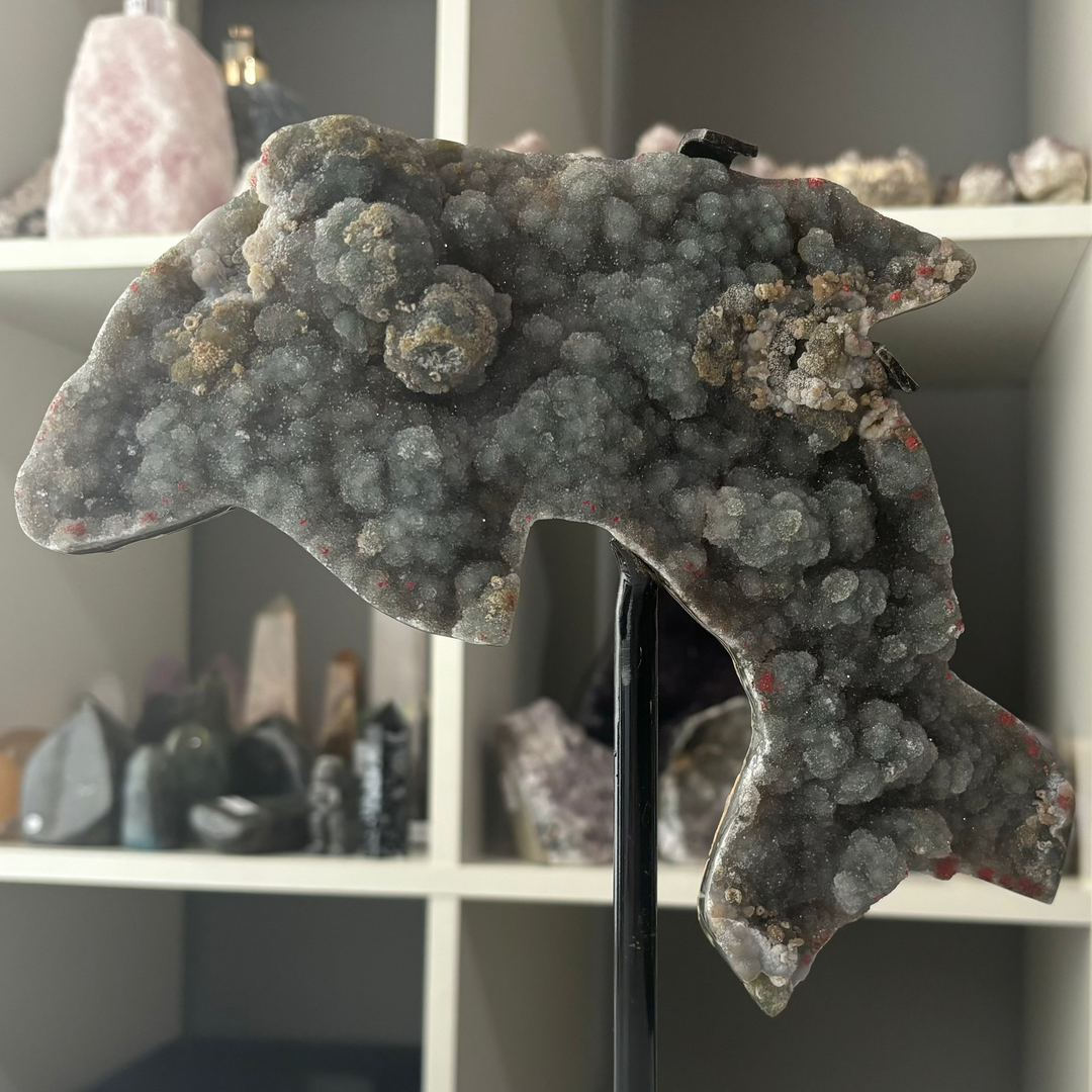 A Sphalerite Dolphin Carving on Stand in front of crystals on a shelf in a bright sun lit room 