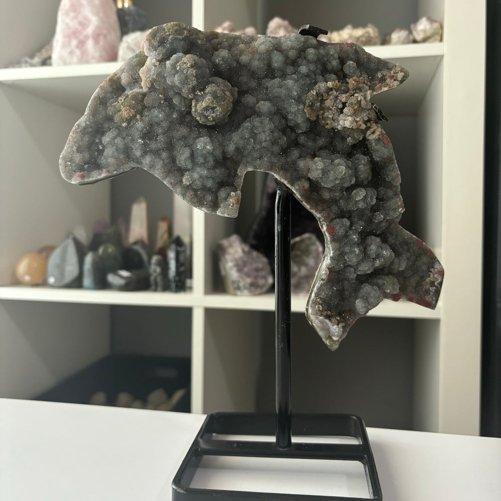 A Sphalerite Dolphin Carving on a black stand, displayed in a room with various crystals and rocks.