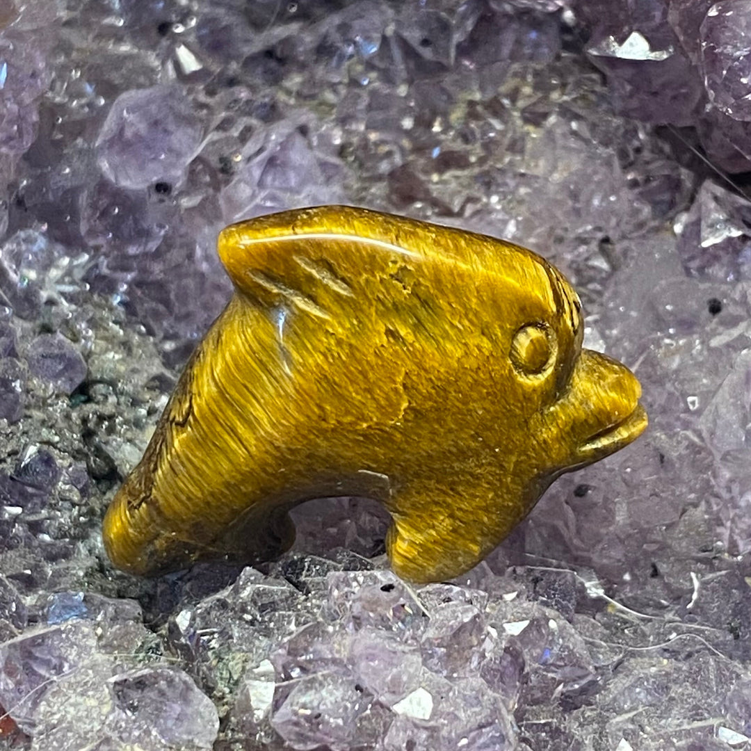A polished golden-yellow tiger's eye bead shaped like a dolphin, resting on a bed of purple amethyst crystal points.
