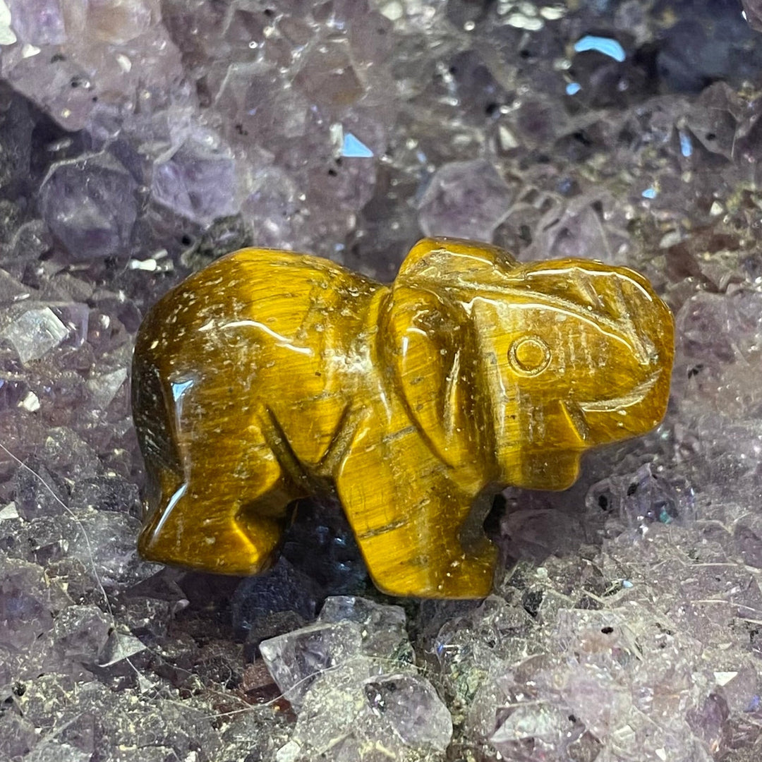 A small carved elephant figurine made of polished golden-yellow tiger's eye, resting on a textured purple crystal cluster background.