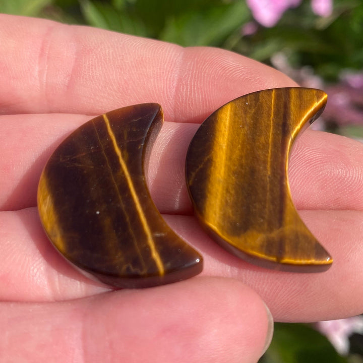 Two crescent moon-shaped tiger&