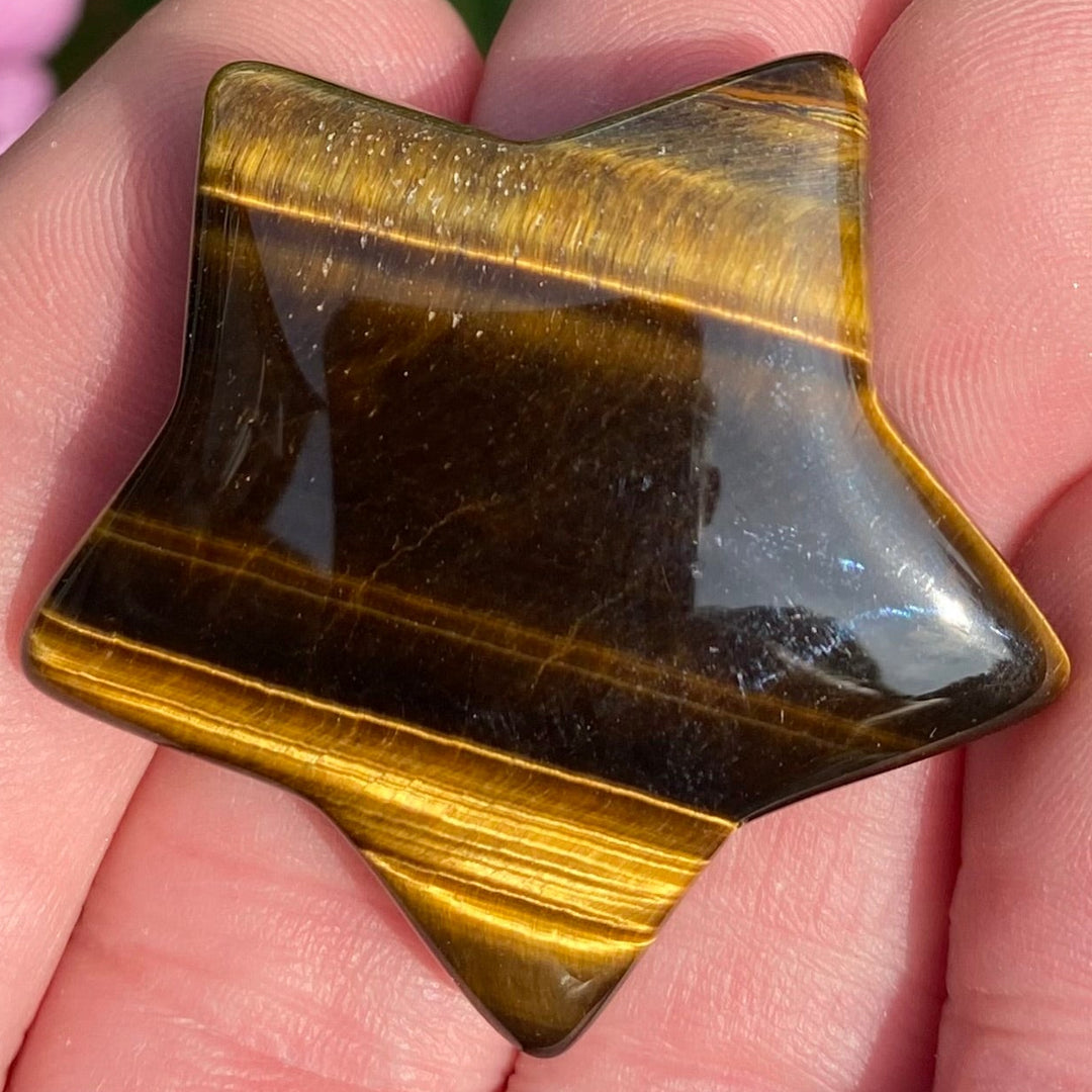 A polished star-shaped tiger's eye stone held in a person's hand, showing its characteristic golden-brown and black banded pattern.