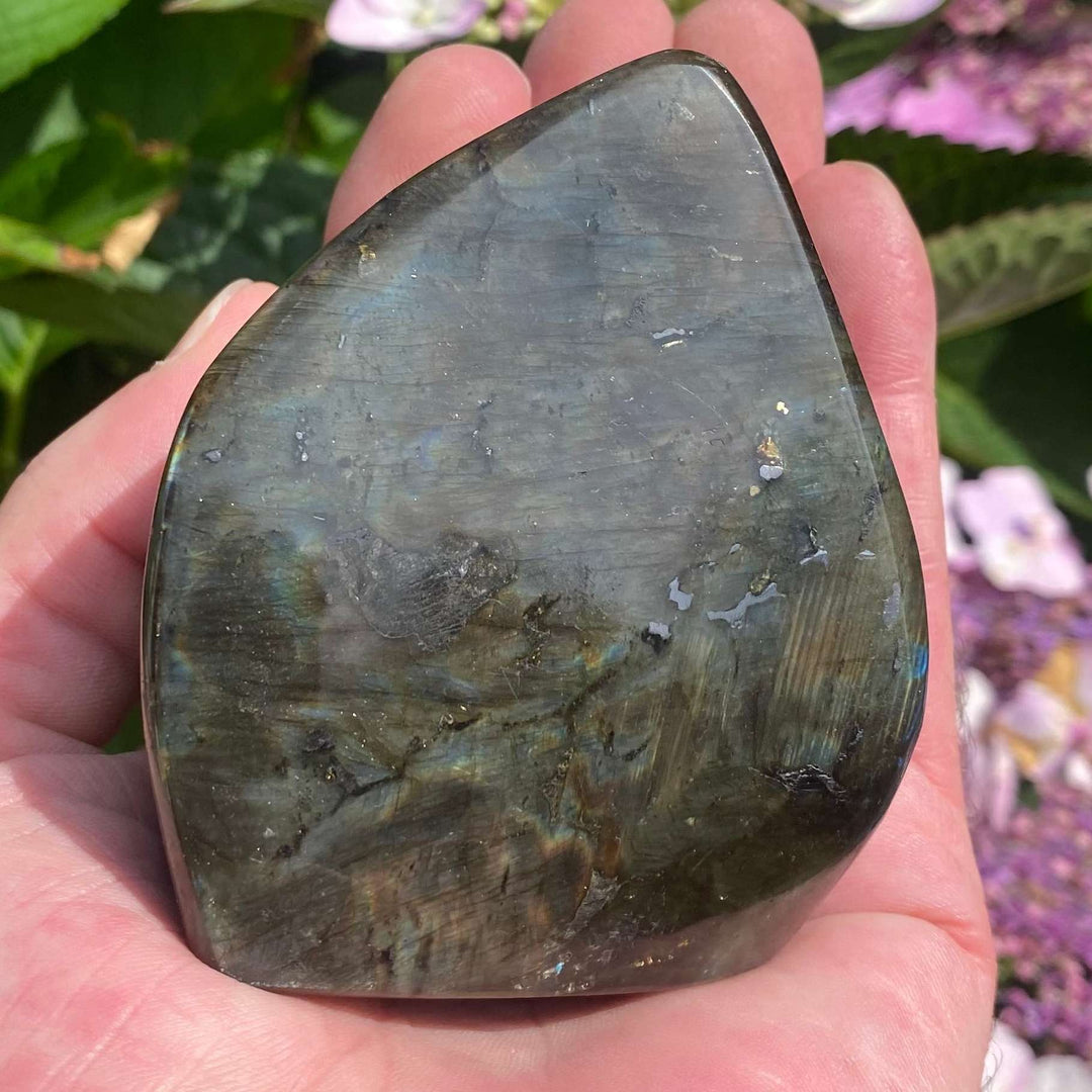 An open hand holding an A-grade polished Labradorite freeform crystal upright, showcasing its smooth grey-green surface and natural geological lines. The stone stands on a flat base against a background of pink garden flowers, highlighting its protective and transformational third eye chakra energy.