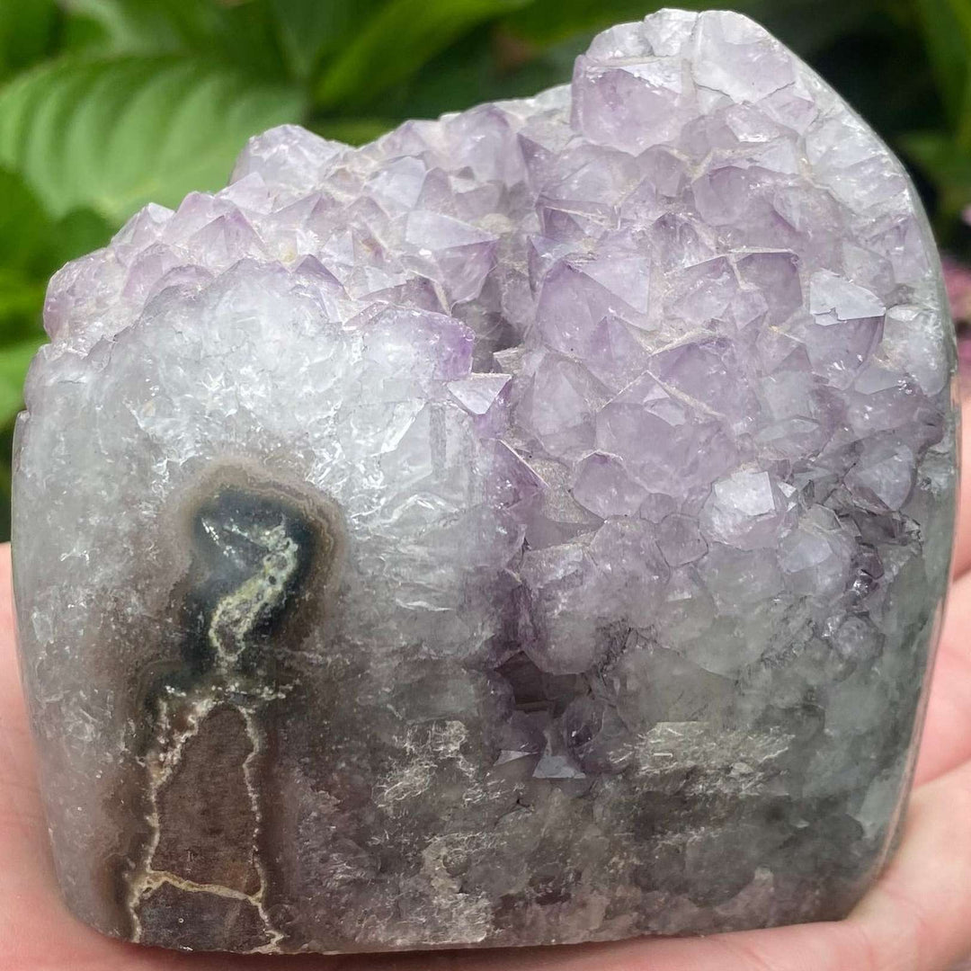 A macro close-up view of a large cut-base amethyst freeform crystal standing vertically in an open hand. The specimen showcases unique, soft lavender tooth-like stalactite crystal points curving upwards, accented by a deep grey and cream swirling agate eye formation on its lower left base.
