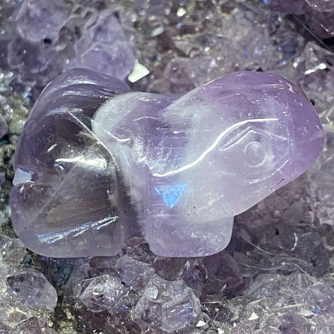 A close-up view of the small, polished Amethyst Frog Carving sitting flat. The translucent purple quartz animal figurine showcases soft lavender tones, glassy surfaces, and tiny internal mineral patterns, resting beautifully on a bed of raw purple amethyst cluster points.
