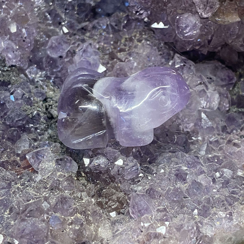 A wide macro perspective looking down at the carved amethyst frog figurine nestled securely on raw purple mineral fragments. The setup highlights the small, three-centimetre pocket-friendly scale, offering a sweet visual companion for a bedside table or altar display.