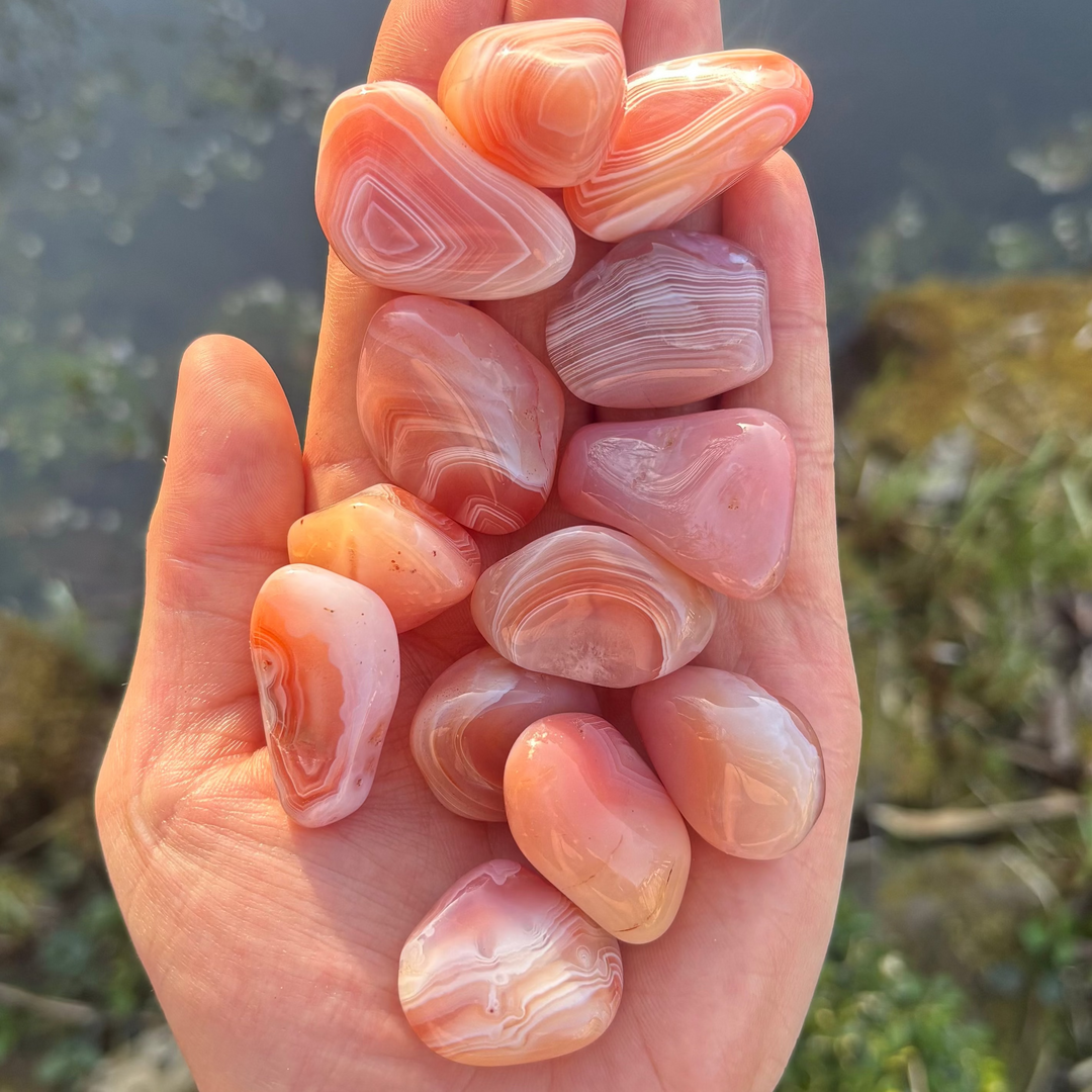 A handful of highly polished Apricot Agate tumble stones cradled in an open palm outdoors, showcasing their smooth glassy texture, creamy peach tones, and delicate concentric white banding lines against a blurred garden backdrop.
