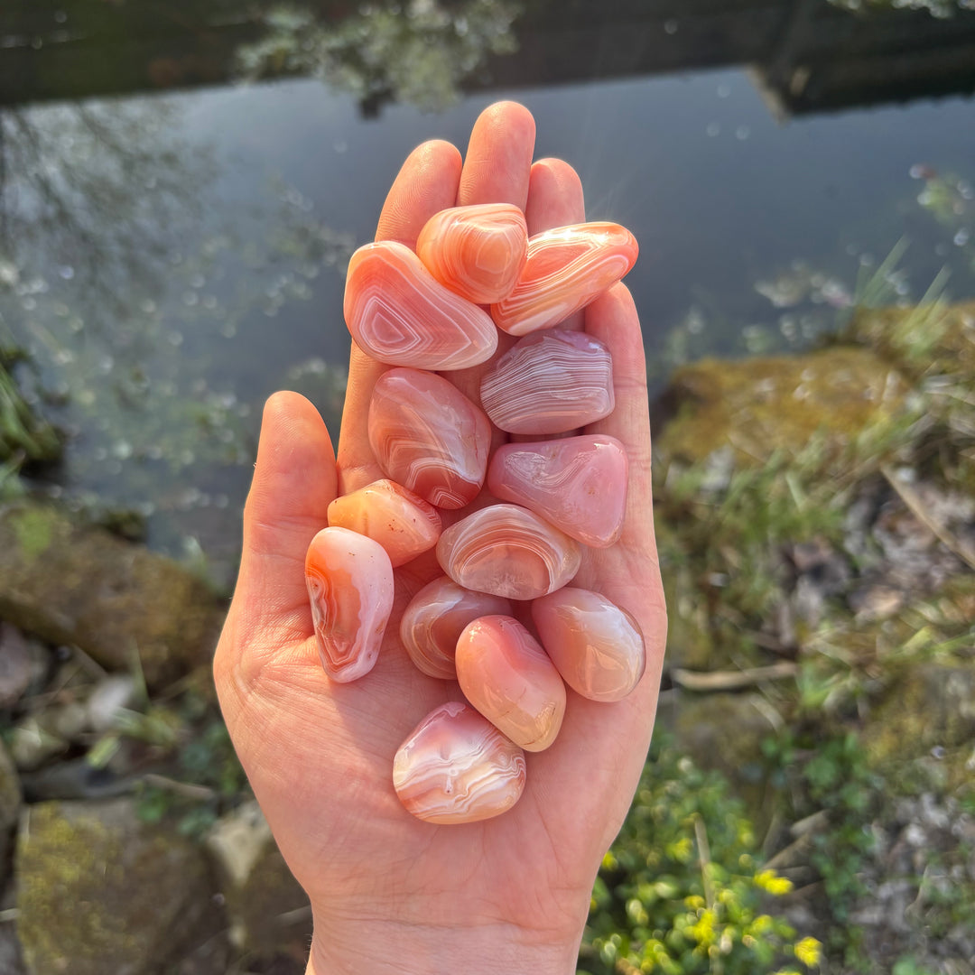 A hand holding a collection of tumbled peach-coloured agate stones outdoors from a distance, illustrating the compact, pocket-sized scale of the polished crystal specimens.