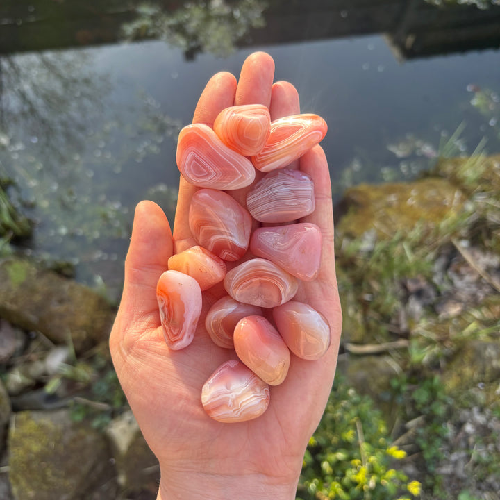 A hand holding a collection of tumbled peach-coloured agate stones outdoors from a distance, illustrating the compact, pocket-sized scale of the polished crystal specimens.