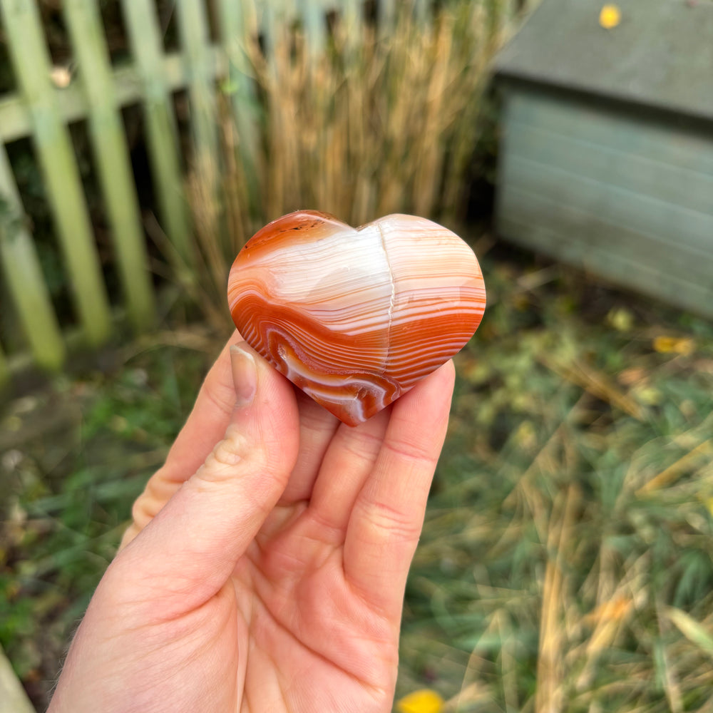 A hand presenting the polished striped carnelian heart stone at a distance outdoors over a winter garden setting, demonstrating the approximate 5cm sizing scale and substantial slick appearance of this vibrant pocket treasure.