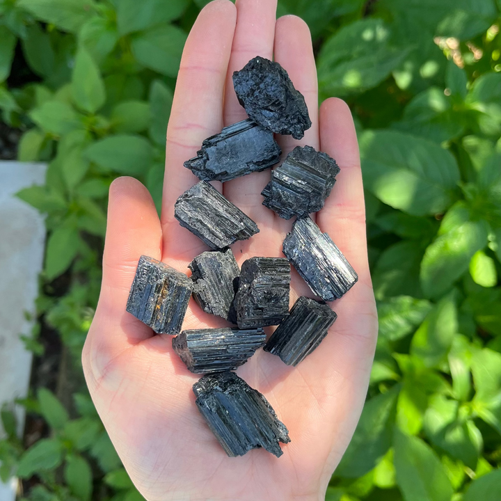 A hand holding a collection of small, raw black tourmaline crystals.