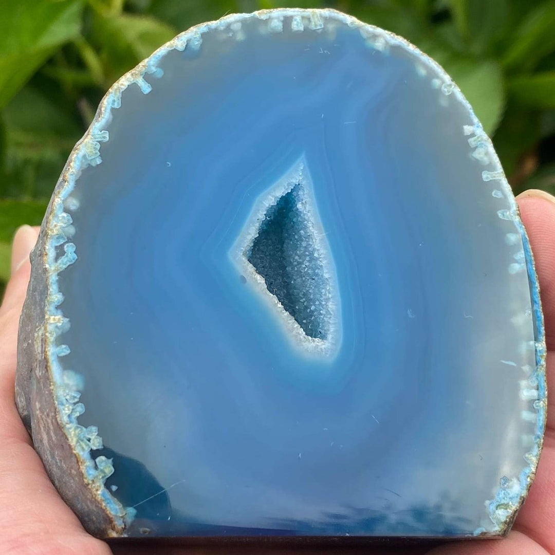 A macro close-up view of a polished Blue Dyed Agate geode slice with a flat cut base standing upright in an open hand. The specimen showcases its vibrant blue face, concentric translucent ring layers, and a sparkling crystalline central cavity against blurred pink garden flowers.
