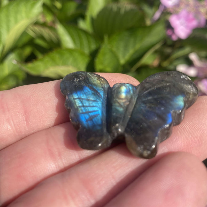 A handheld shot capturing the distinct labradorescence of the miniature labradorite butterfly carving under natural outdoor sunlight. The deep blue mineral flare stands out beautifully against a blurred garden backdrop of green foliage and pink flowers, ideal for setting intentions of personal growth.
