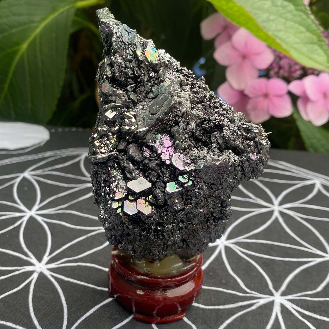 A macro close-up view of an iridescent, spiky black Carborundum cluster mounted securely on a small wooden-style dark red ceramic display stand. The specimen showcases its highly texturised surface and rainbow-coloured shimmering plates against pink garden flowers.
