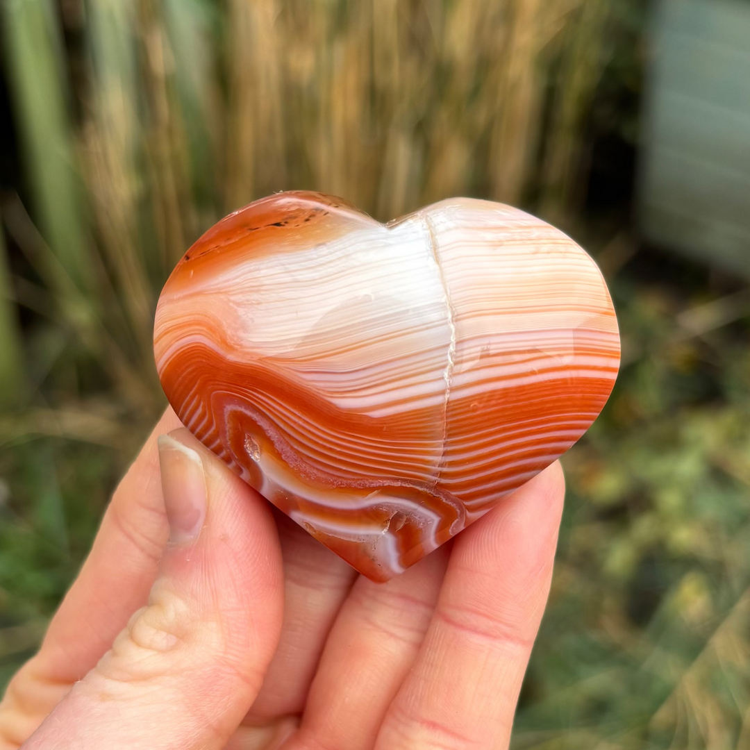 A close-up view of an open hand holding a polished carnelian striped love heart crystal carving outdoors, showcasing its bold fiery orange bands, deep red swirls, and natural cream lines against a blurred garden backdrop for Root and Sacral Chakra alignment.