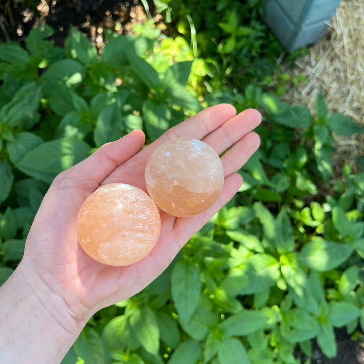 An alternative angled outdoor view of two glowing Peach Selenite crystal spheres held in an open hand, illustrating their smooth textures perfect for a cosy bedside table or home altar layout.