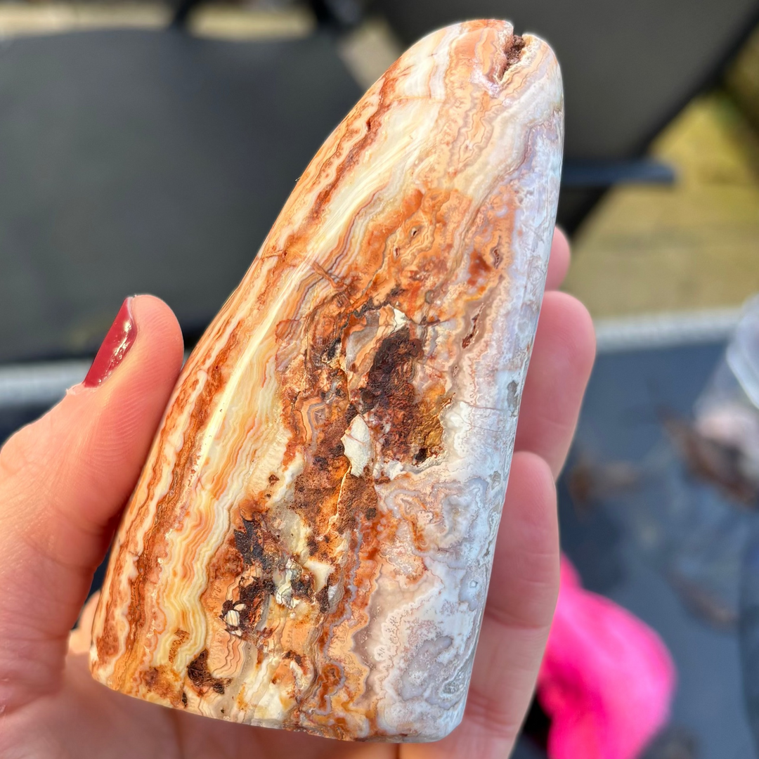 A polished Cotton Candy Agate freeform crystal cradled in a hand outdoors, showcasing a dramatic face layered with rich apricot, burnt orange, and cream mineral waves.