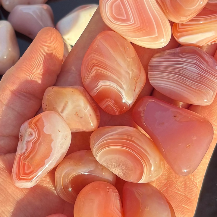 A detailed macro close-up view of polished Apricot Agate crystals resting in a hand, highlighting the unique swirls, warm orange-peach shading, and natural white quartz bands.