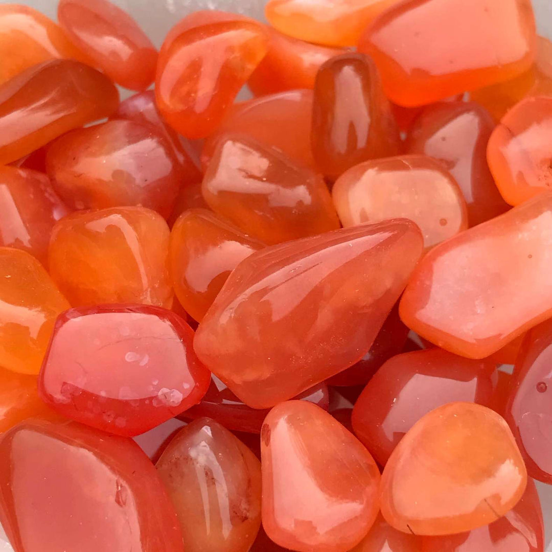 An extreme macro close-up view focusing on the rich translucent layers, unique sunset colour zones, and subtle internal fractures of several mini Carnelian stones clustered together. The tight framing captures the beautiful glassy polish of these earthly treasures, perfect for illustrating a sense of motivation and passion.