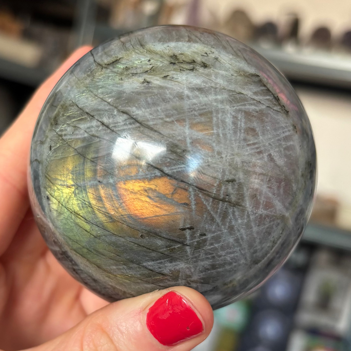 A hand with red nails cradling a large polished grey labradorite crystal sphere indoors, showcasing a vibrant golden orange and green iridescent labradorescence flash beneath the smooth, glass-like dark grey surface for Third Eye Chakra alignment.
