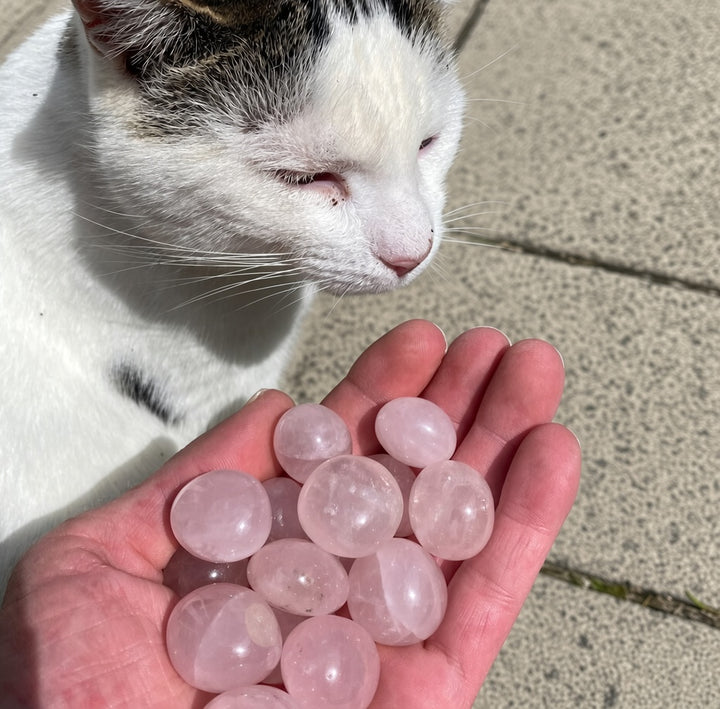Star Rose Quartz Tumble Stones – Soft Heart Energy